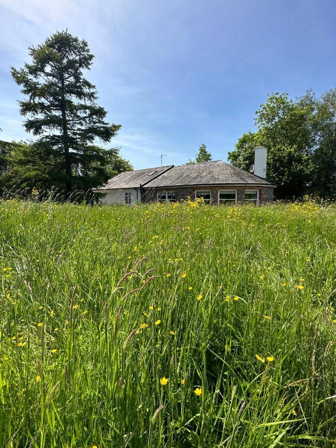 Balsoon Lodge ナヴァン エクステリア 写真